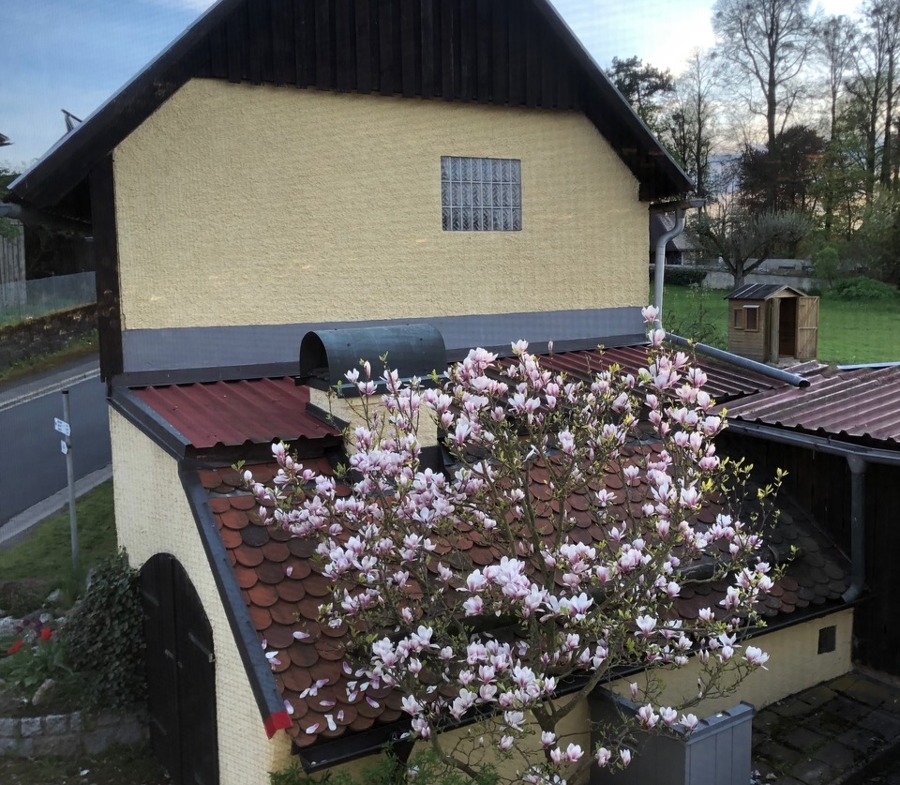 Blick auf Nebengebäude mit Backofen